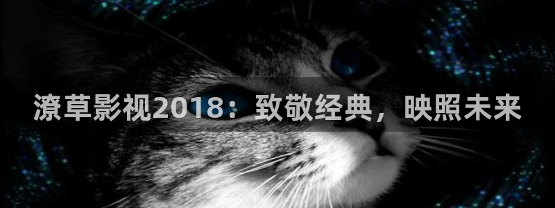 酷客影城：潦草影视2018：致敬经典，映照未来