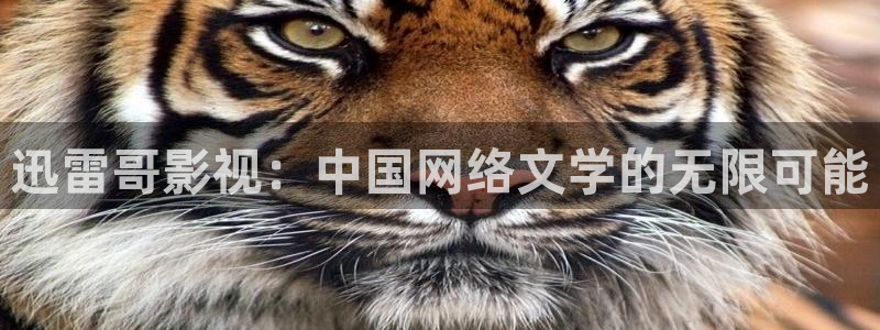 酷客影院免费在线：迅雷哥影视：中国网络文学的无限可能