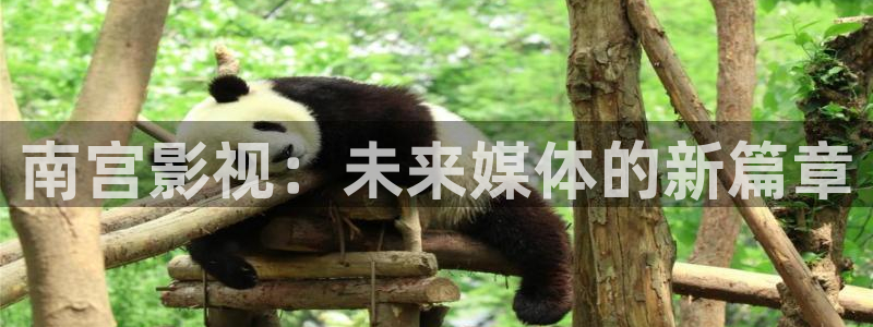 酷客影院在线观看在线播放：南宫影视：未来媒体的新篇章