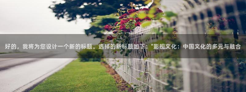 手机酷客影院：好的，我将为您设计一个新的标题。选择的新标题如下：\