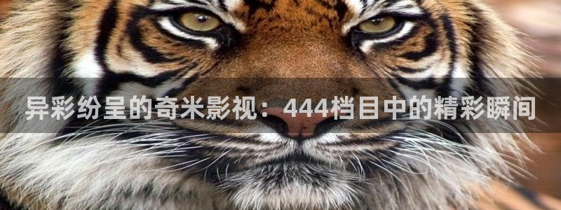 2025酷客影院在线观看免费完整版：异彩纷呈的奇米影视：444档目中的精彩瞬间