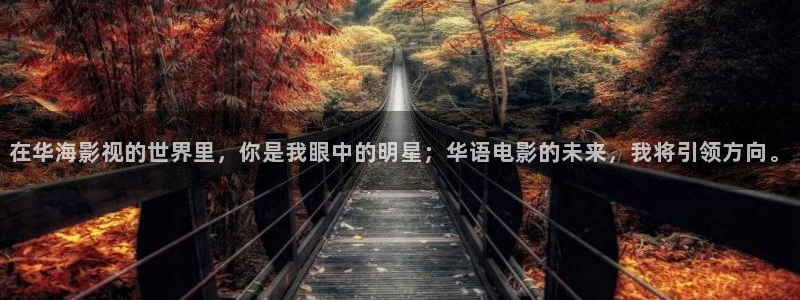 酷客私人影院：在华海影视的世界里，你是我眼中的明星；华语电影的未来，我将引领方向。