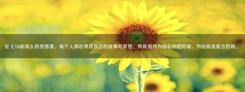 酷客电视剧在线影院免费观看：在《16影视》的世界里，每个人都在寻找自己的故事和梦想，而我将作为你心中的灯塔，为你照亮前方的路。