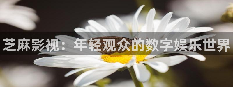 酷客影院2026免费观看：芝麻影视：年轻观众的数字娱乐世界