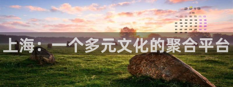 酷客影院免费观看电影：上海：一个多元文化的聚合平台