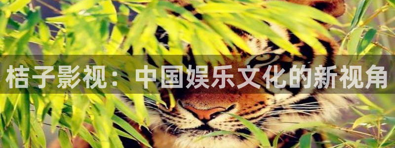 酷客影院在线：桔子影视：中国娱乐文化的新视角